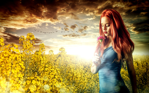713771 (a): :1920x1200